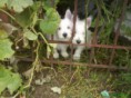 /album/fotogaleria/img-jpg1/