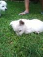 /album/fotogaleria/img0267a-jpg/