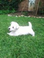 /album/fotogaleria/img0270a-jpg/