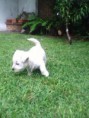 /album/fotogaleria/img0273a-jpg/