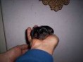 /album/fotogaleria/a8932-1217653796701-1089549332-2599713-776973-n-jpg/