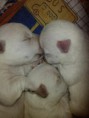 /album/fotogaleria/a664298-4237585612920-1587287818-o-jpg/
